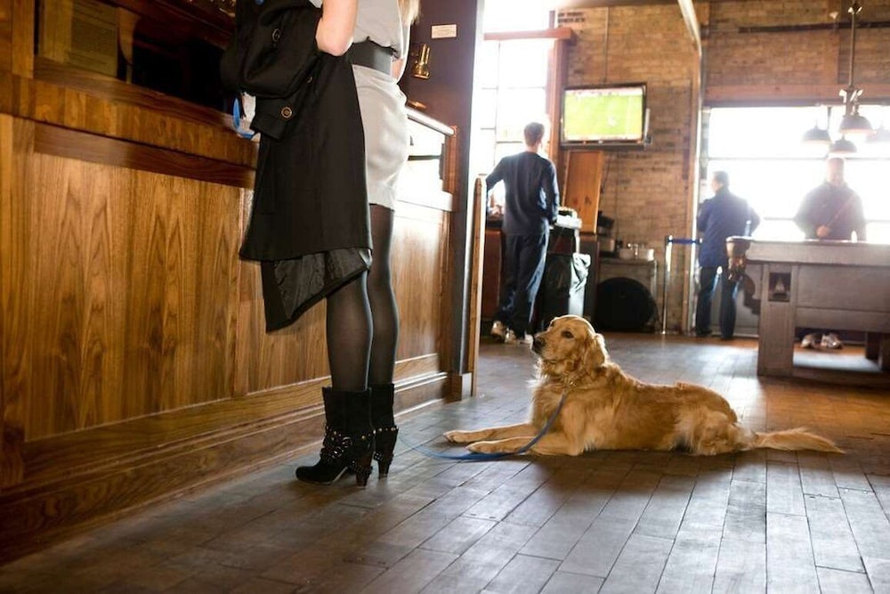 The Iron Horse Hotel - photo 64
