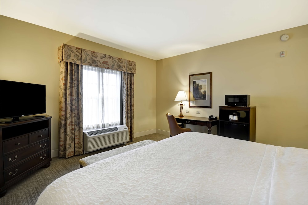 Hampton Inn and Suites Savannah Historic District - photo 20