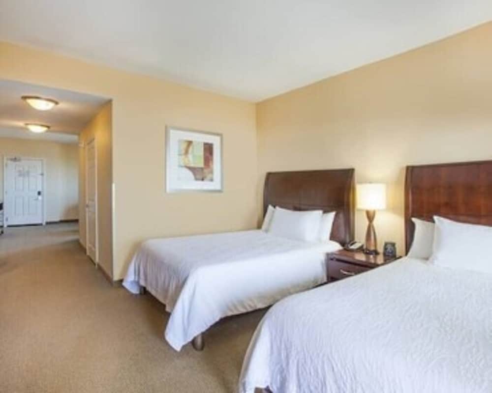 Hilton Garden Inn South Padre Island Beachfront - photo 11