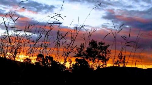Chales Boa Vista - last minute hotel in Monte Verde