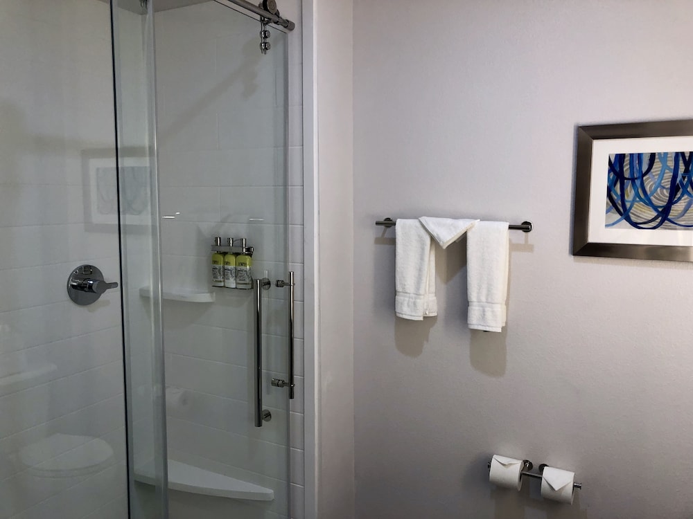 Holiday Inn Express and Suites Houston Westchase Westheimer by IHG - photo 52