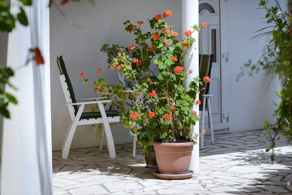 Oreb Dream Apartments