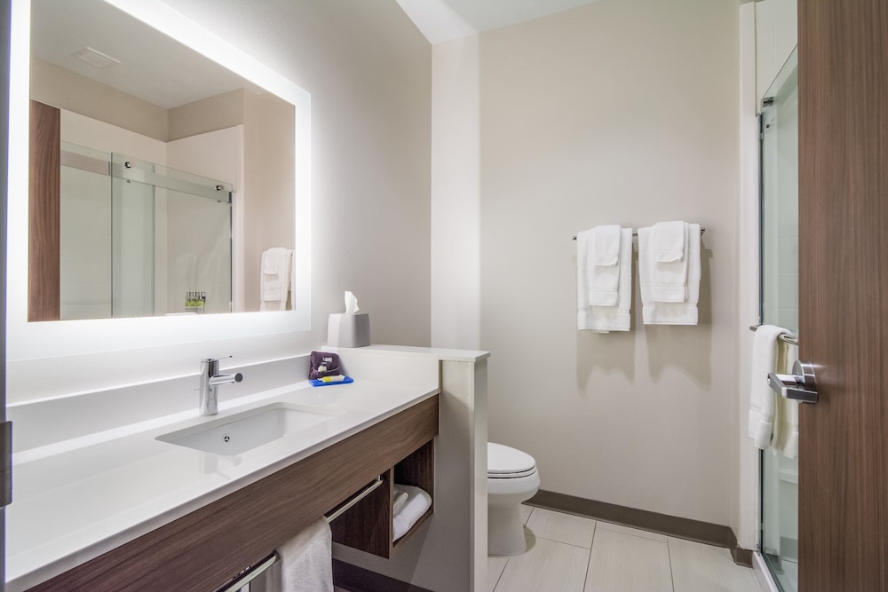 Holiday Inn Express and Suites Asheboro by IHG - photo 29