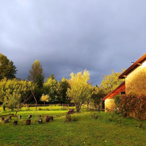 Ohikoa - carbon neutral hotel in Unknown City