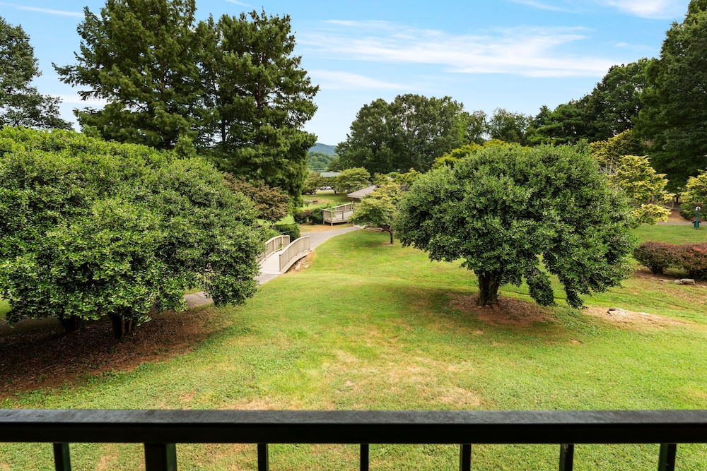 Tremont Lodge & Resort - photo 123