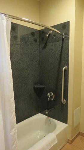 Grand Inn and Suites Houston - photo 10