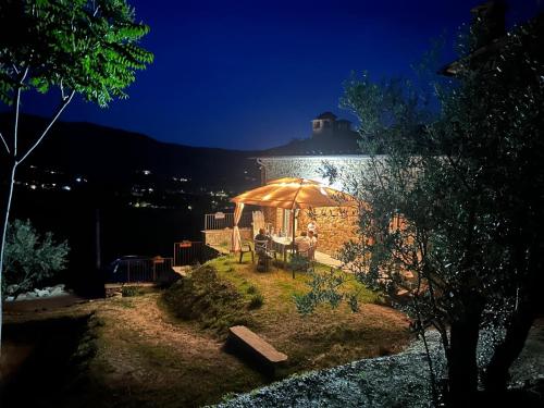 Casale21