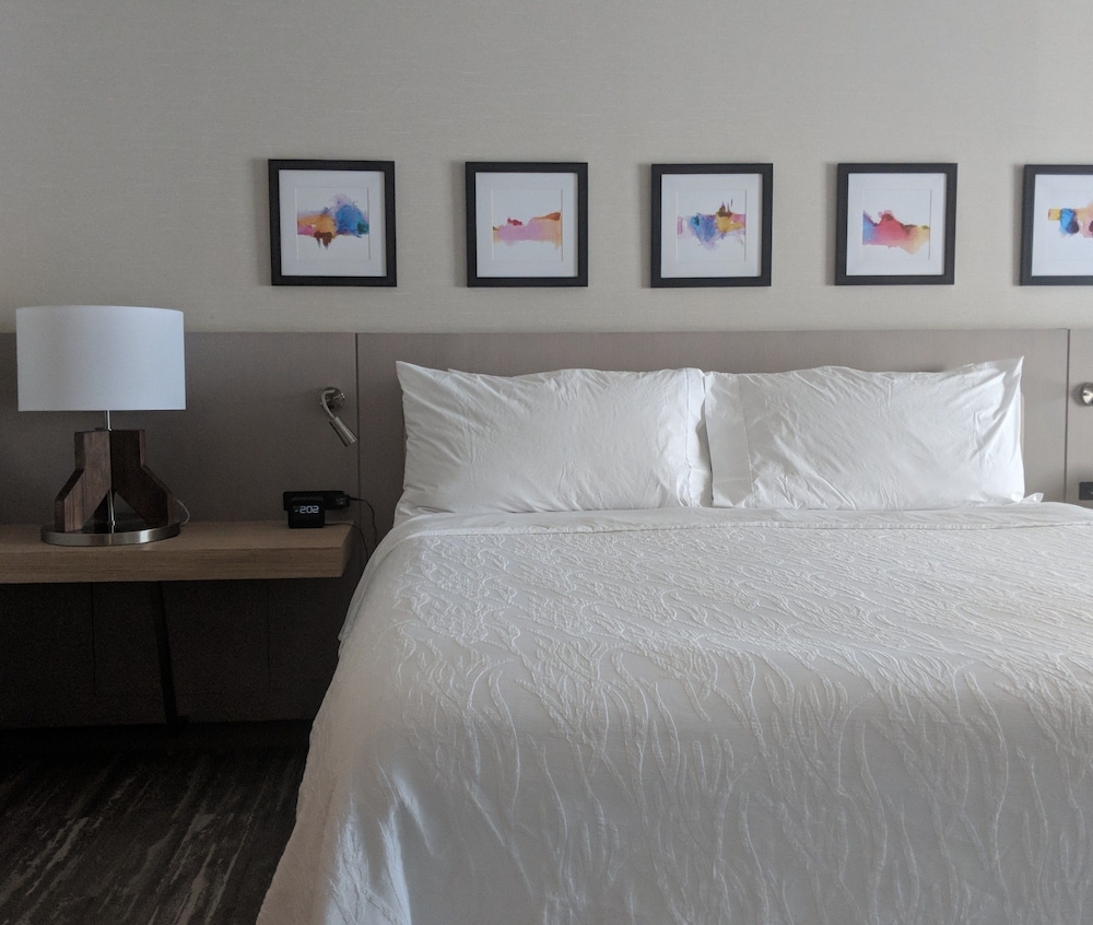 Hilton Garden Inn Chicago North Shore Evanston - photo 10