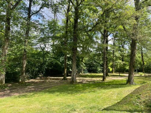 Au Cur Des Bois — Amboise