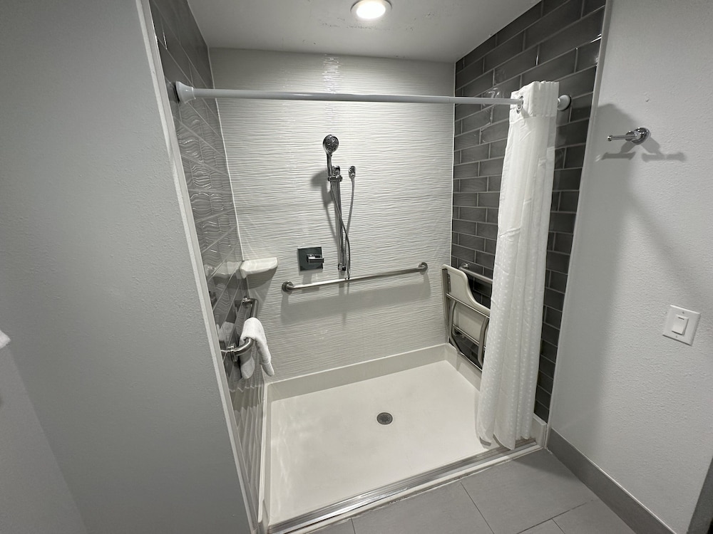 Holiday Inn Express Dallas Downtown - photo 44