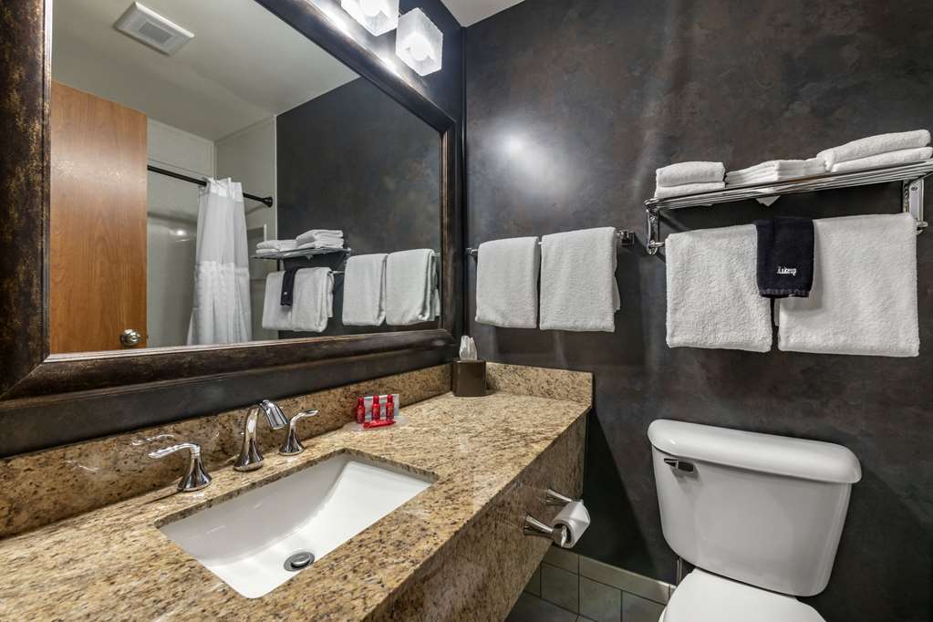SureStay Plus Hotel by Best Western Buffalo - photo 24