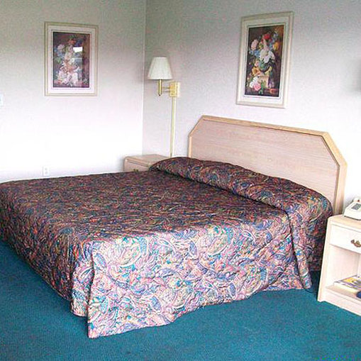 Irish Inns - photo 7