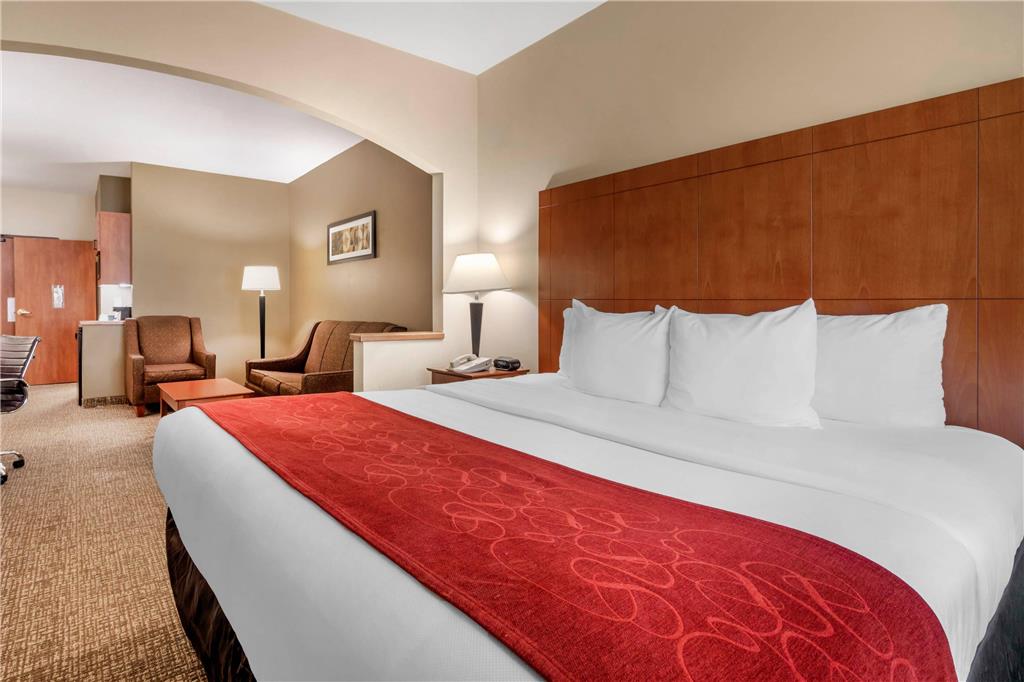 Comfort Suites North Dallas - photo 8