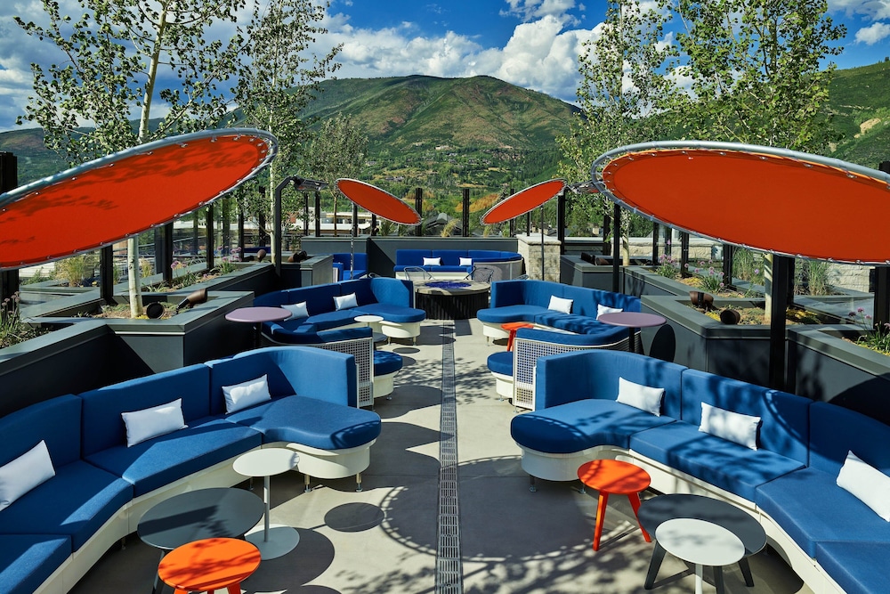 The Sky Residences at W Aspen - photo 39