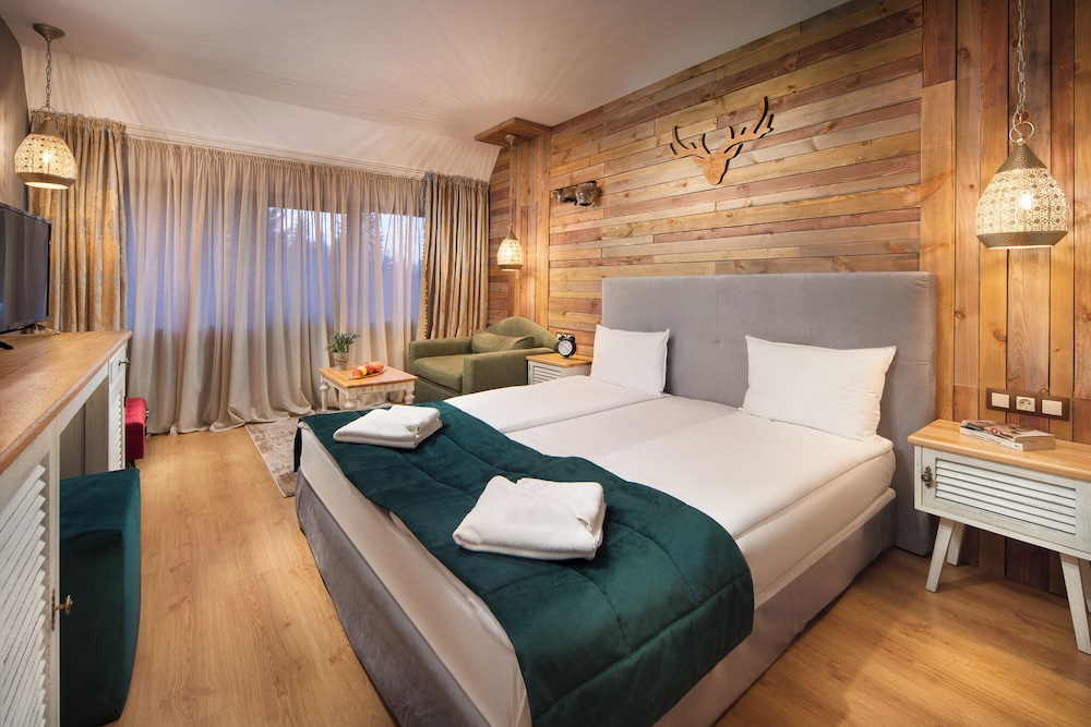 Mountain Dream Hotel — Samokov — photo 2