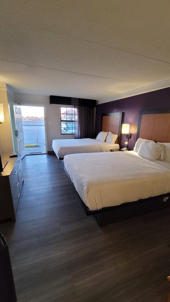 Palm Bliss Hotel Corpus Christi South - photo 6