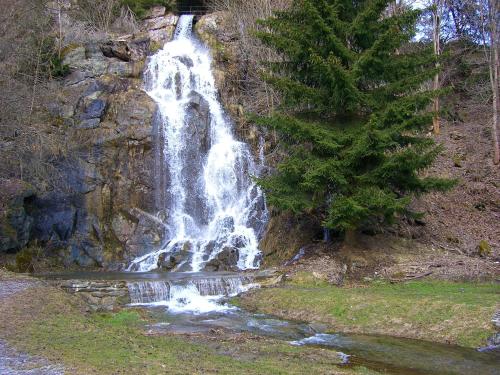 Ferienwohnungen Königshof — Ruebeland — photo 3