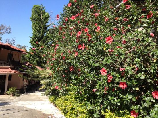 Estate Residency - carbon neutral hotel in Munnar