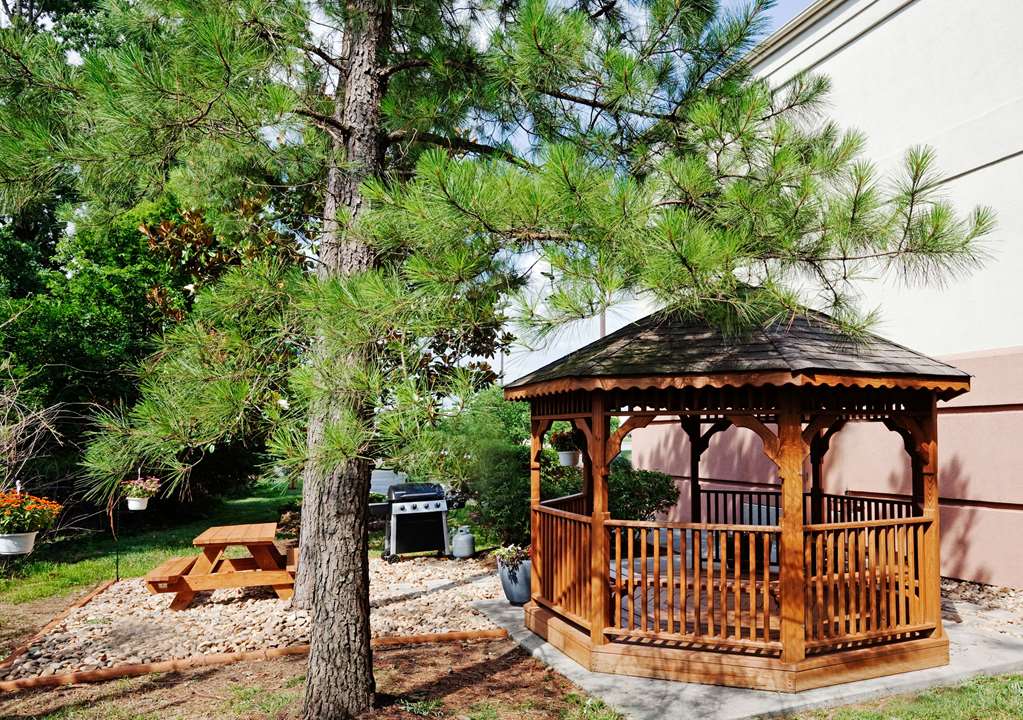 Sonesta Simply Suites Knoxville - photo 16