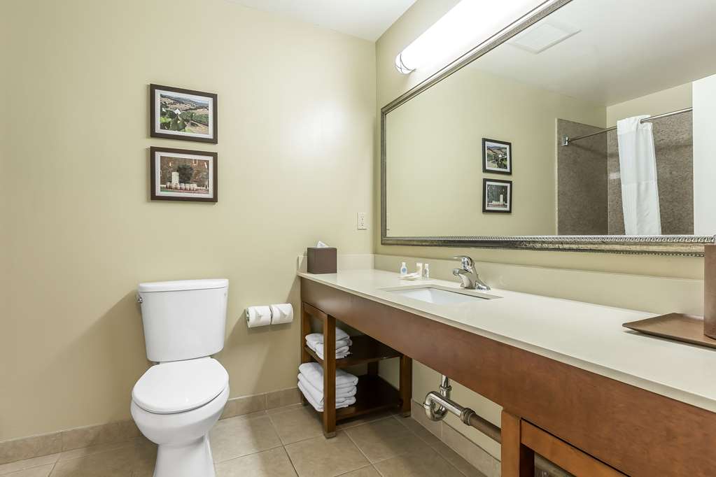 Comfort Inn Pomona near Fairplex - photo 16