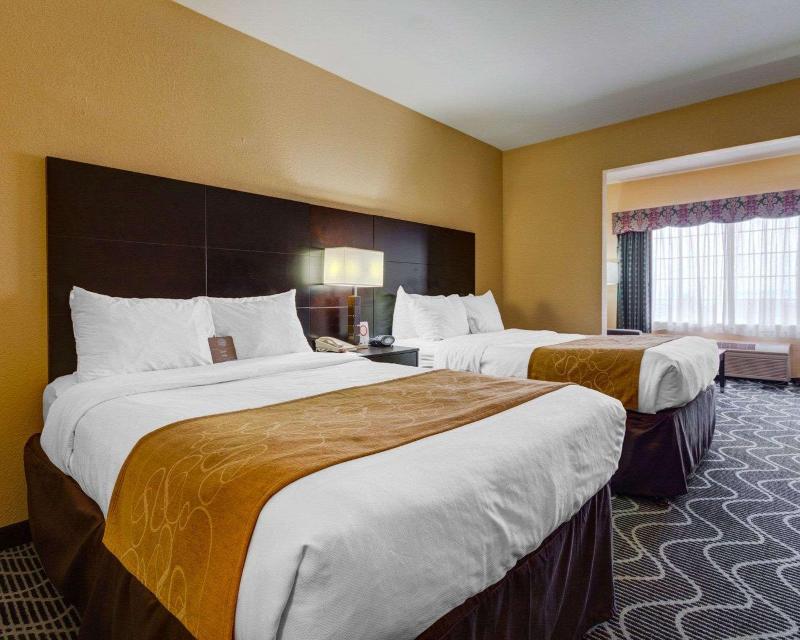 Comfort Suites Lake Ray Hubbard - photo 5