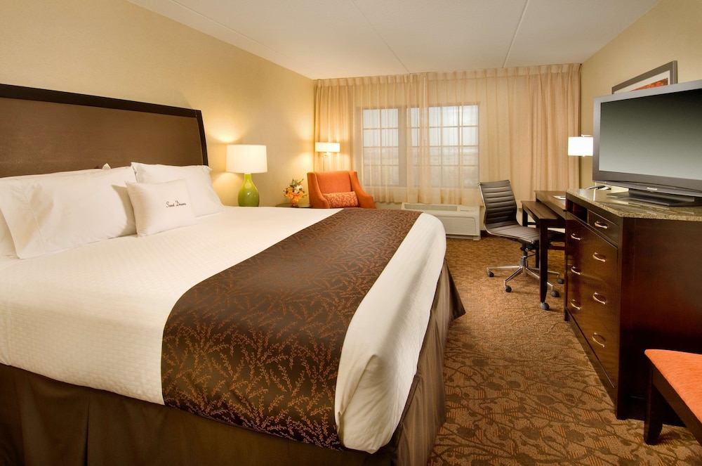 DoubleTree by Hilton Sterling Dulles Airport - photo 9