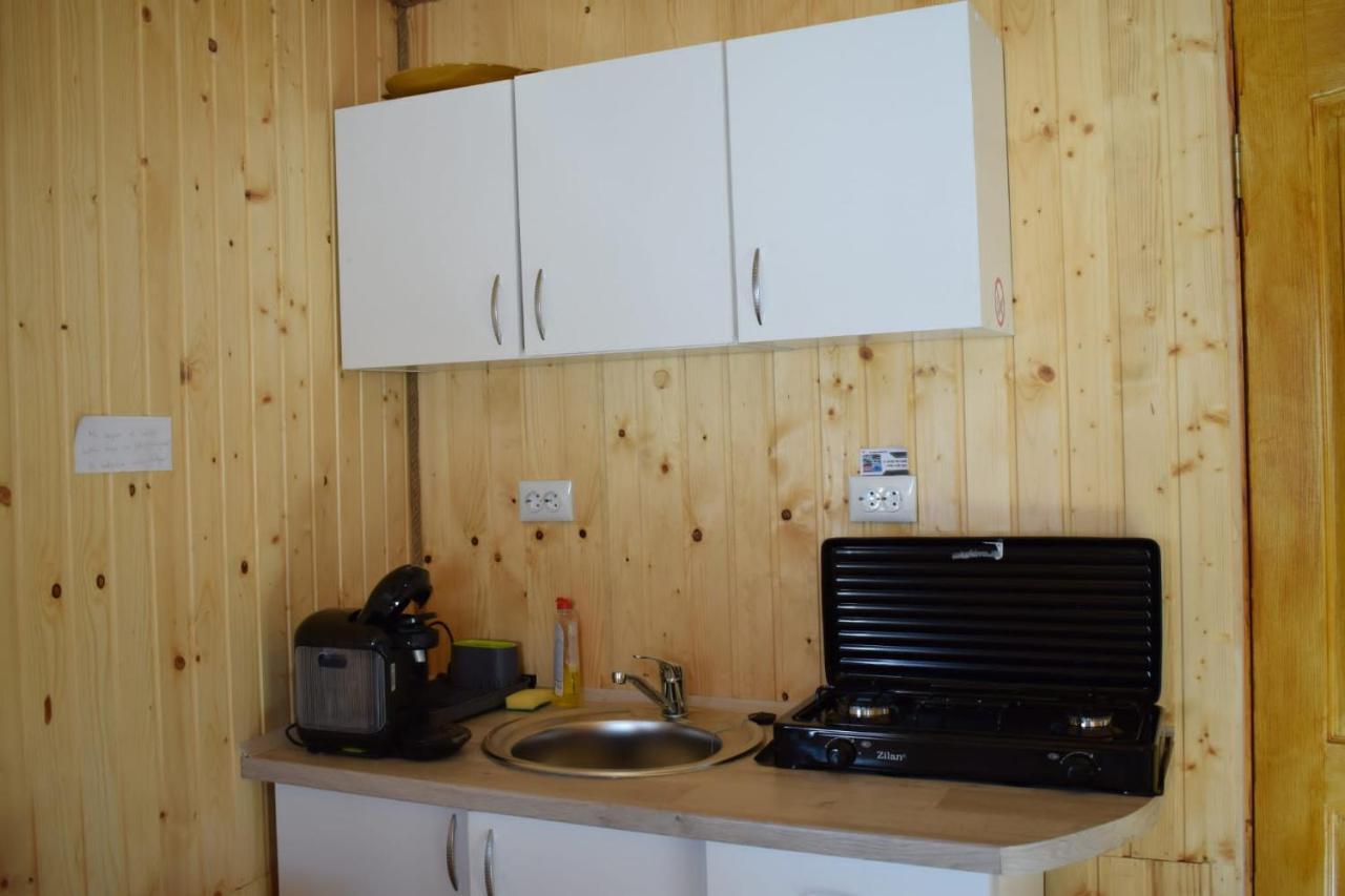 Cabana doi mesteceni in Bran, Romania