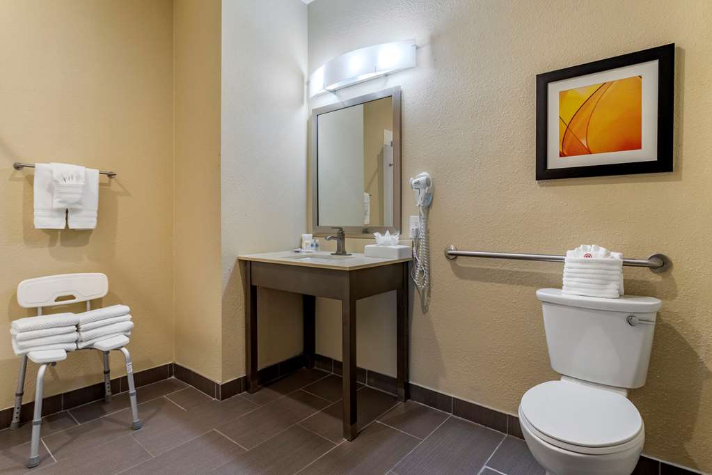 Comfort Suites Near Sam Houston Race Park - photo 10