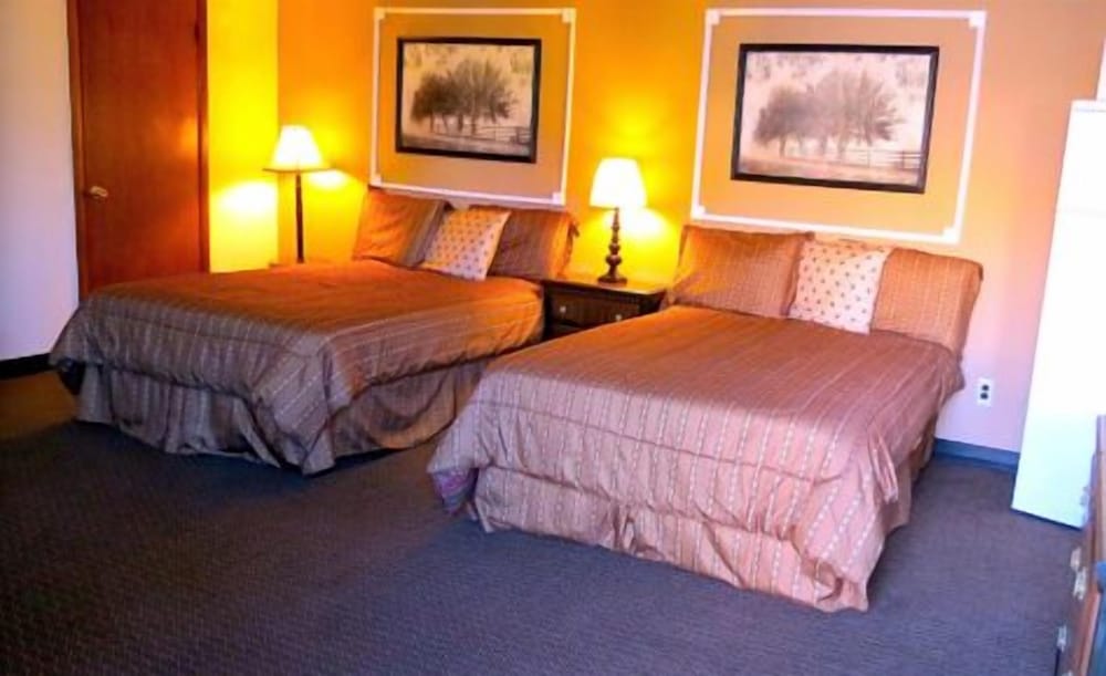 Buoy16 Motel - photo 7