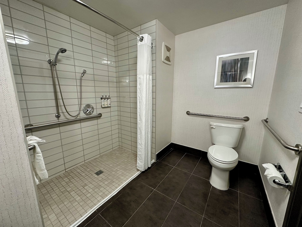 Holiday Inn Carlsbad by IHG - photo 35