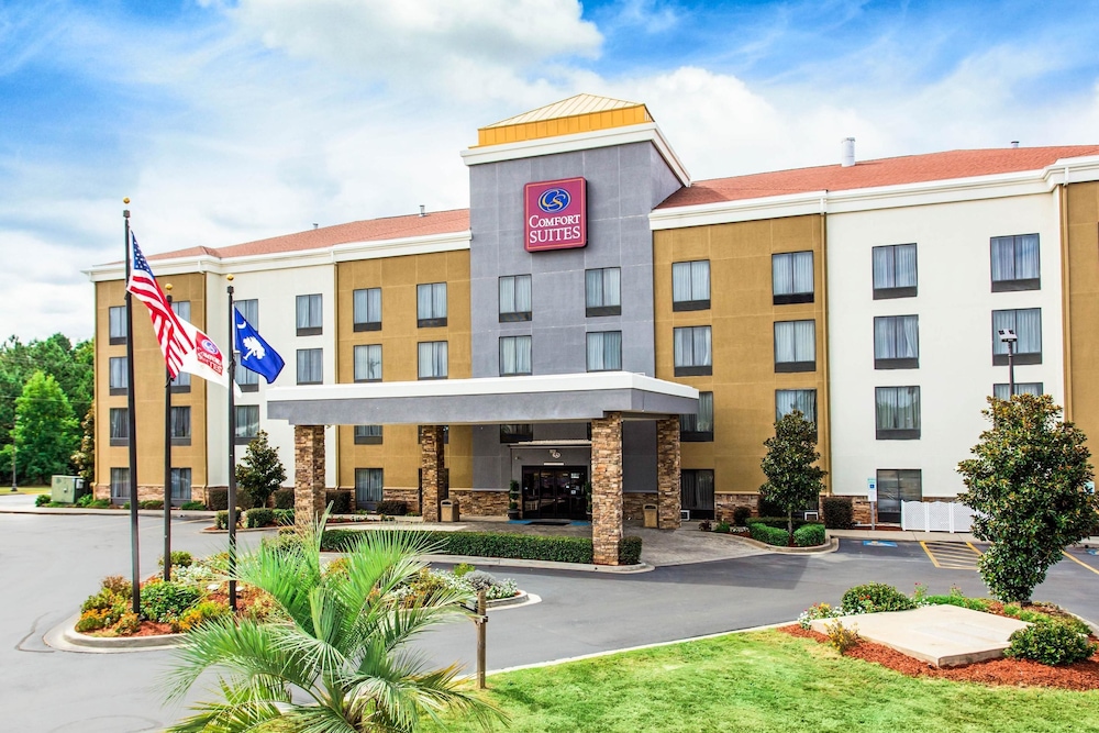 Comfort Suites Clinton near Presbyterian College - photo 36