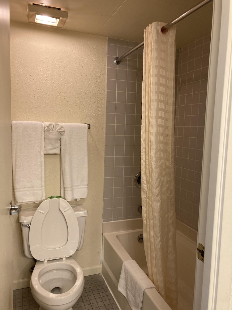 Americourt Hotel - photo 28