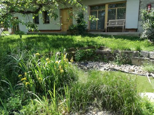 Ekofarma Rytířova Lhota — hotel in Hradek Nad Nisou