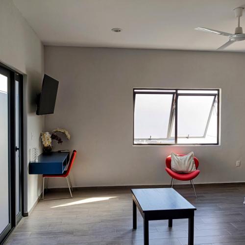 Studios V19 — Colima — photo 4