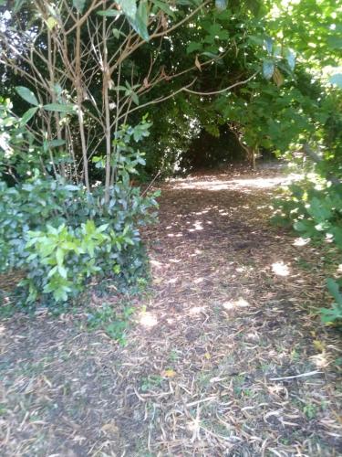 Rancho Apar T — Tandil — photo 5
