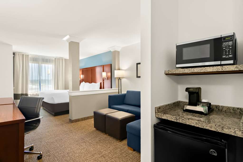 Comfort Suites Rensselaer near Fair Oaks - photo 21