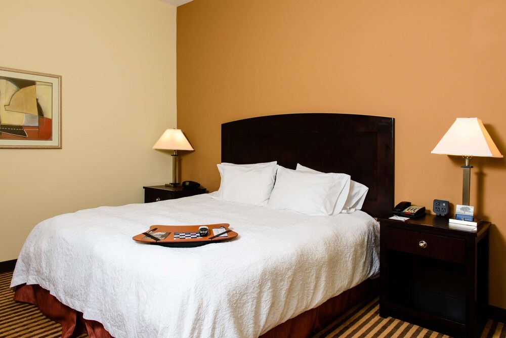 Hampton Inn & Suites Port Arthur - photo 9