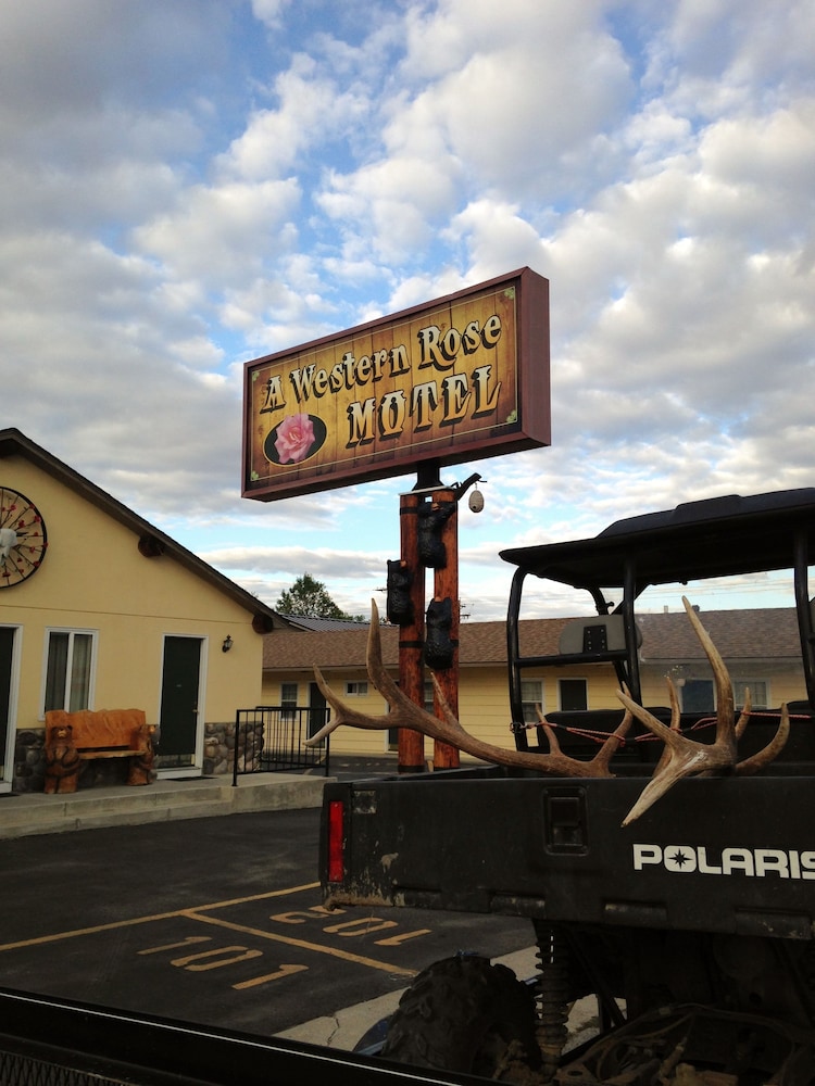A Western Rose - photo 36