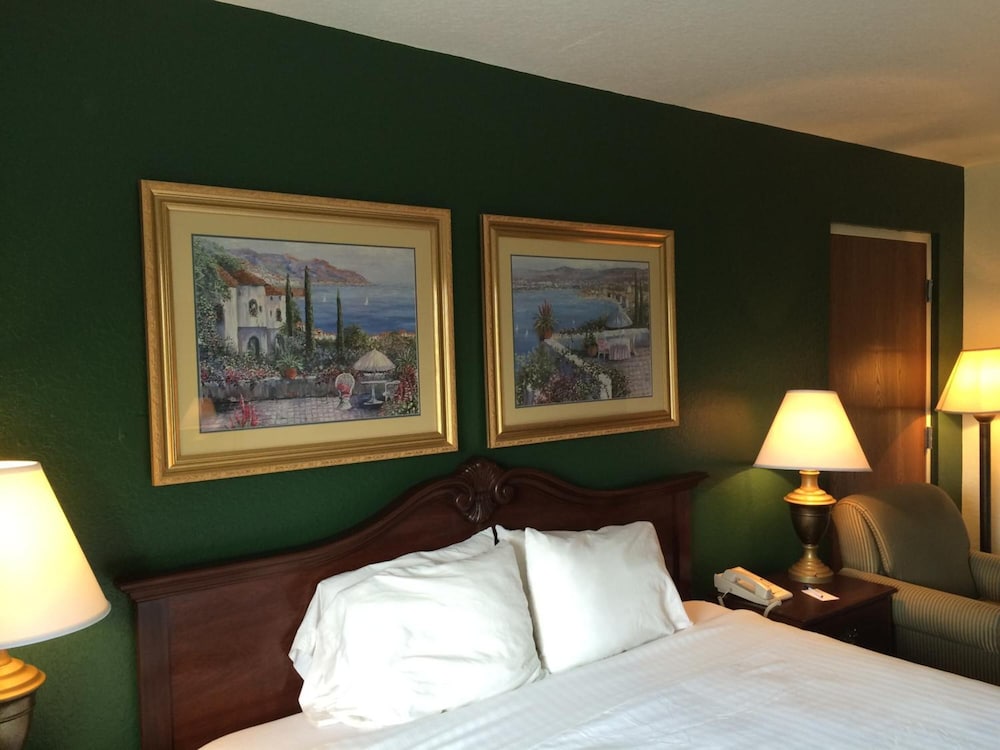 Ruskin Inn Hotel - photo 22