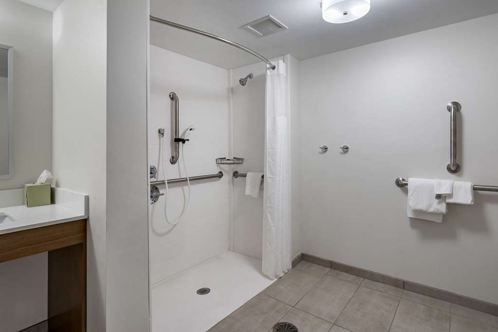 Quality Inn Lexington Horse Park - photo 9