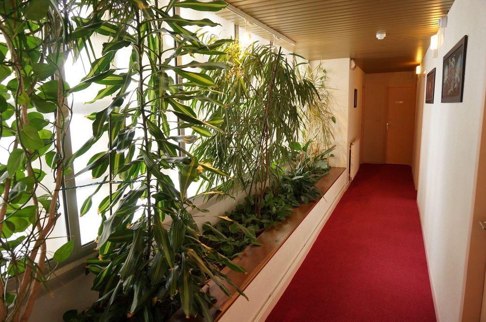 Hôtel des Plantes — Angers — photo 4