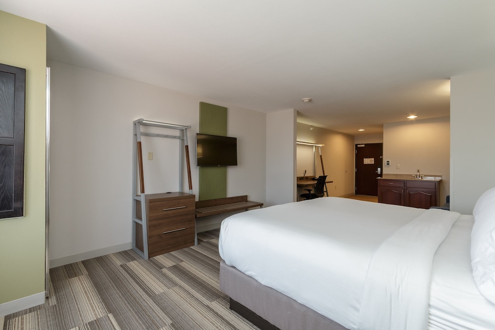 Holiday Inn Express Hotel & Suites South Bend by IHG - photo 51