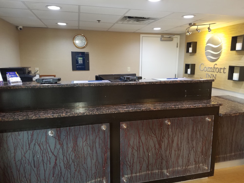 Comfort Inn North of Asheville - photo 6