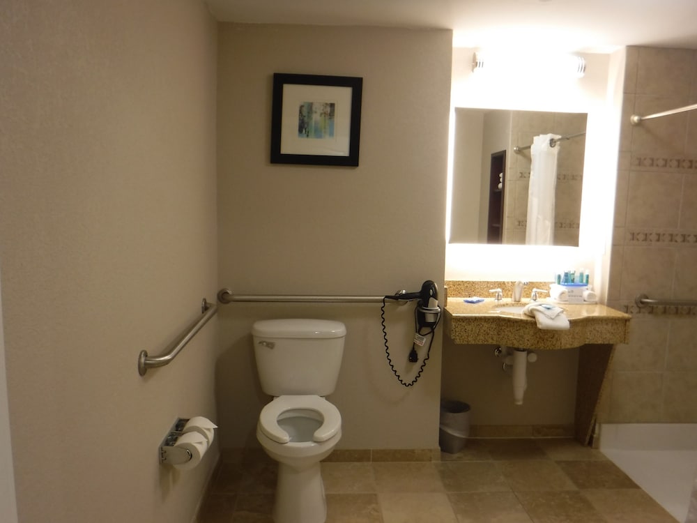 Holiday Inn Express West Jefferson by IHG - photo 6