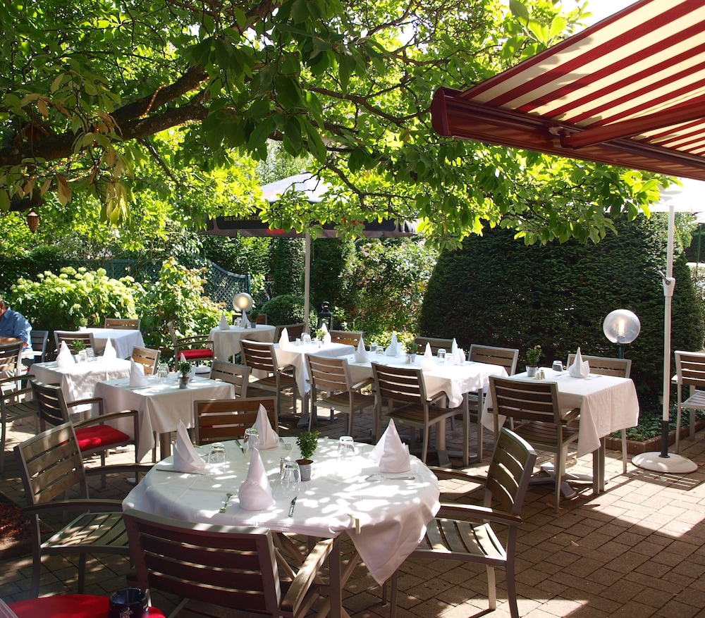Hôtel aux Sapins — hotel in Thann