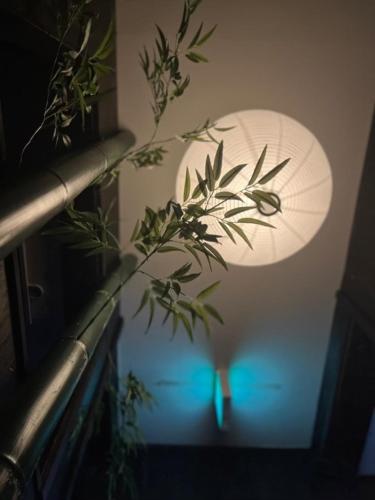 Hotel粋 - carbon neutral hotel in Hakodate