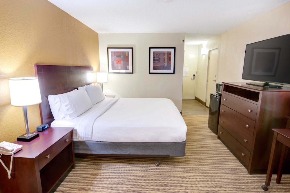 Holiday Inn St Petersburg N Clearwater by IHG - photo 18