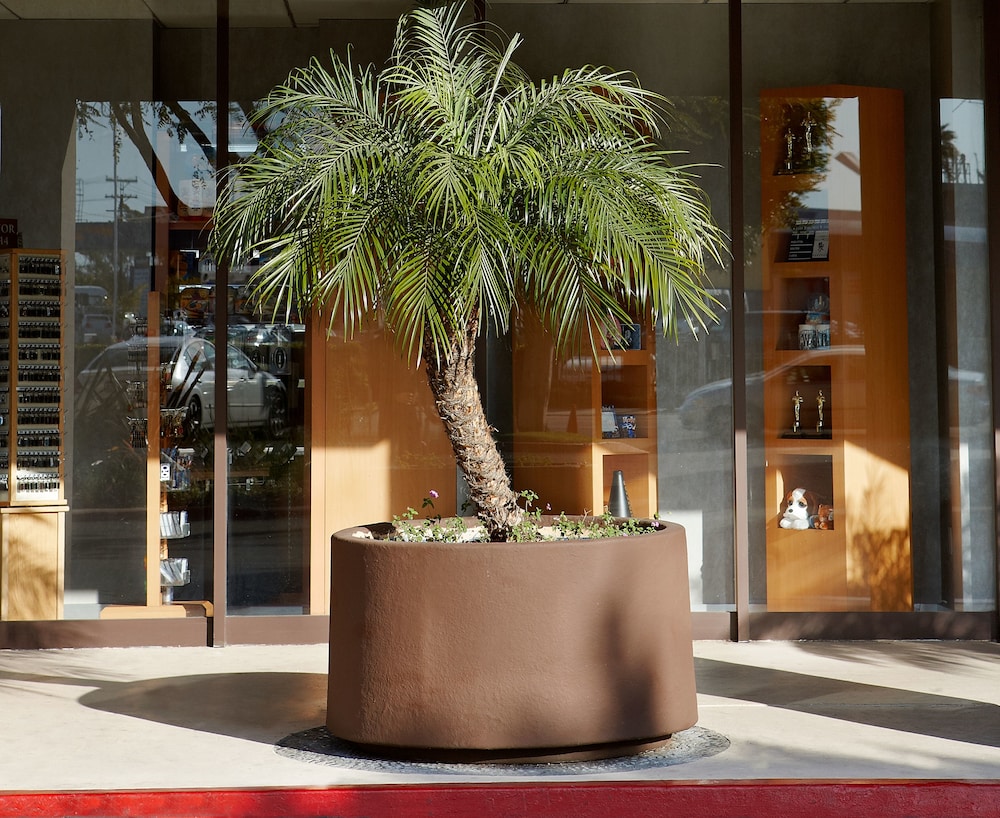 Four Points by Sheraton Los Angeles International Airport - photo 46