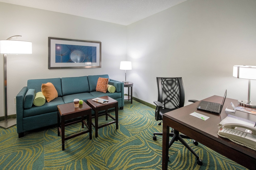 SpringHill Suites by Marriott Greensboro - photo 8