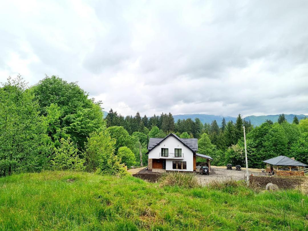 Poiana Cerbilor in Slatina, Romania